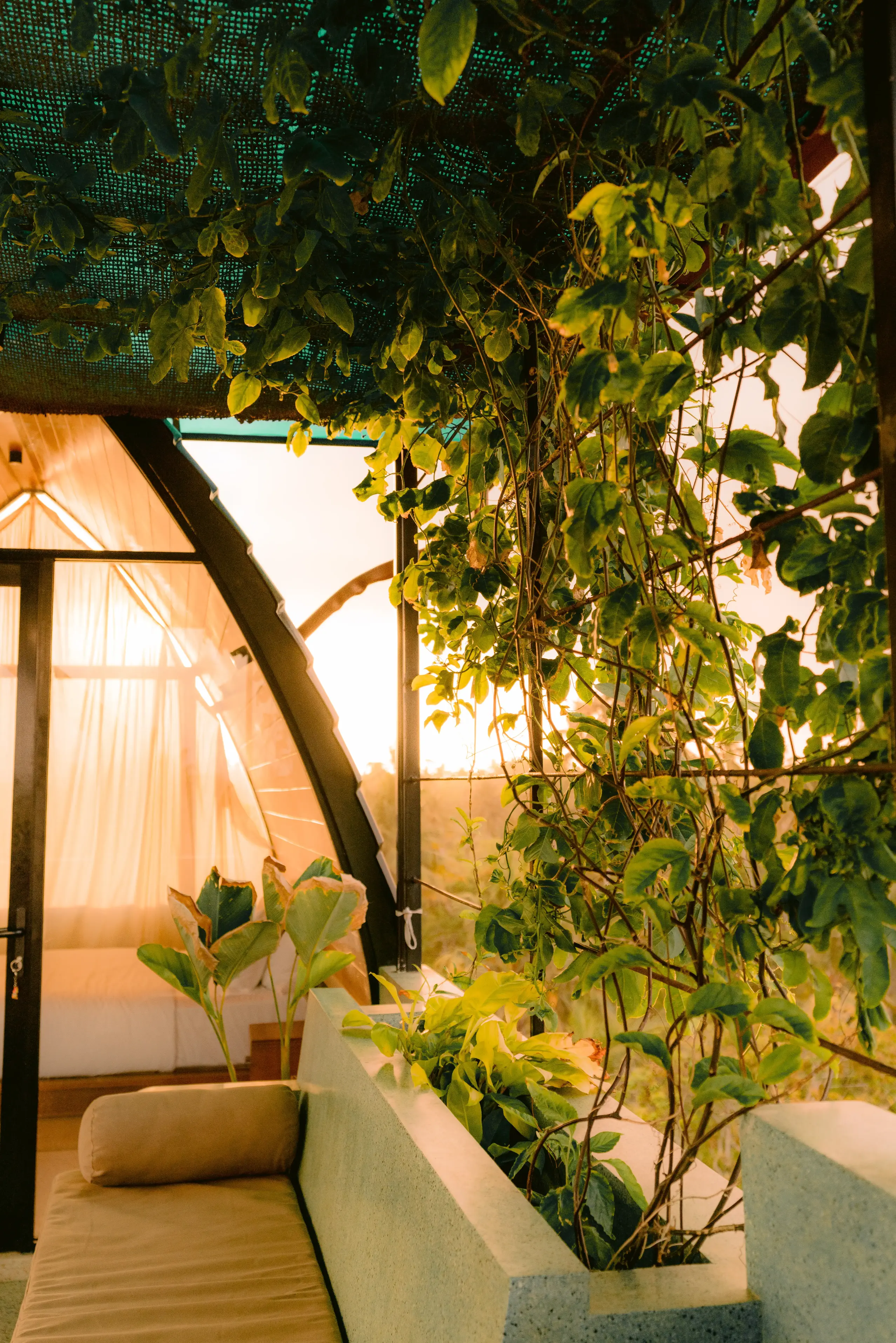 Rooftop Cabana Tropical Garden