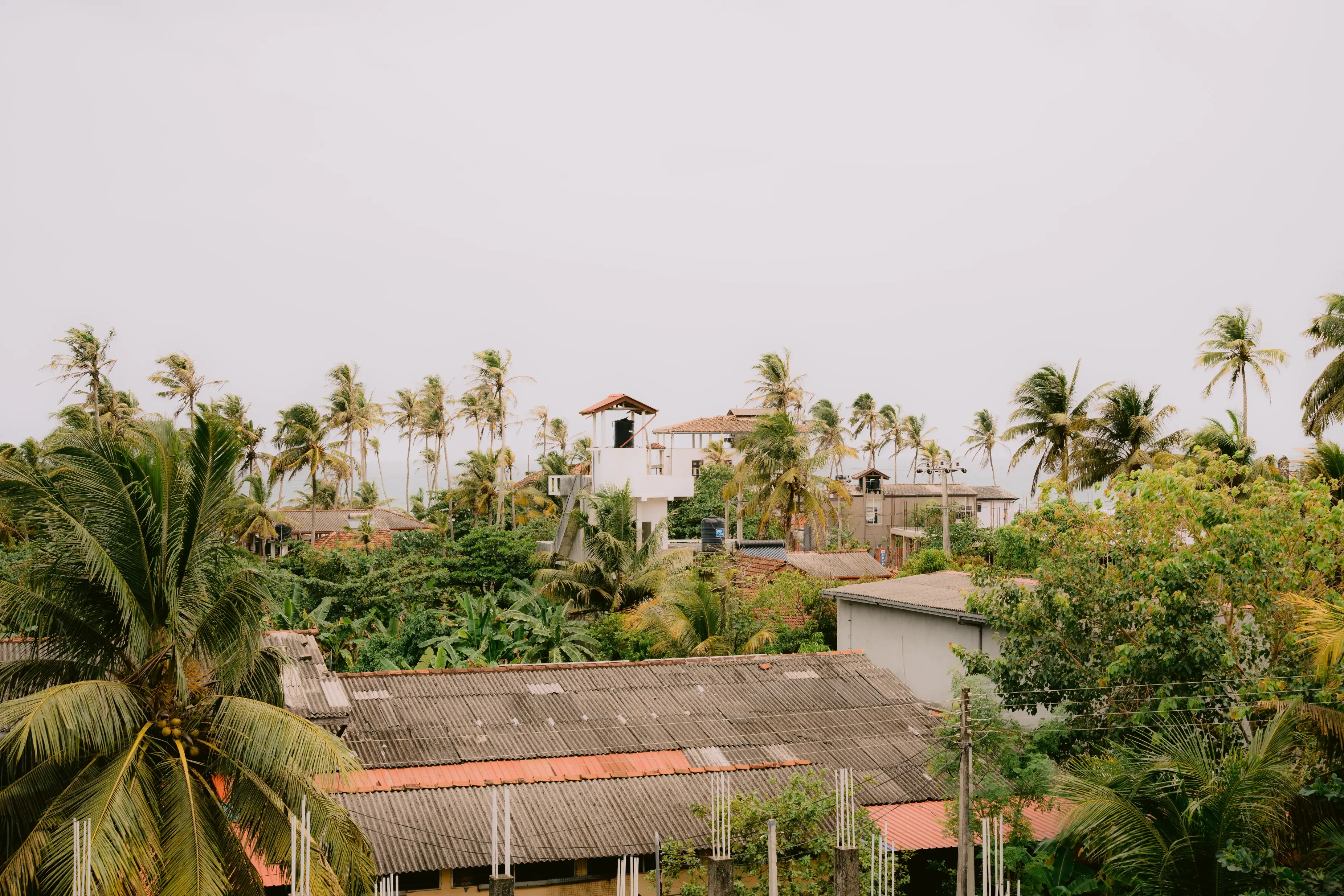 Rooftop Ocean View